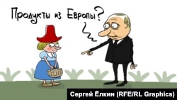 Карикатура Сергея Елкина