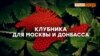 Крымская клубника только для Москвы? (видео)