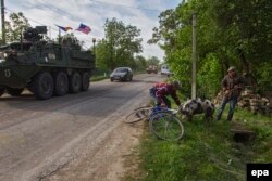 Двое мужчин пытаются удержать свинью, чтобы она не перебежала дорогу американской колонне