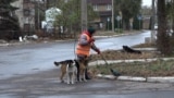 Ukraine--Pokrovsk, Pokrovsk direction of the front